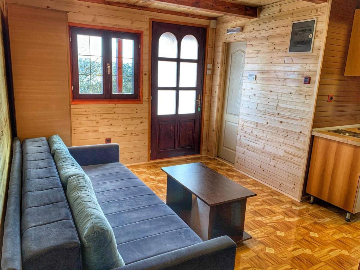 Brvnare Cirkovic Villa Zlatibor Buitenkant foto
