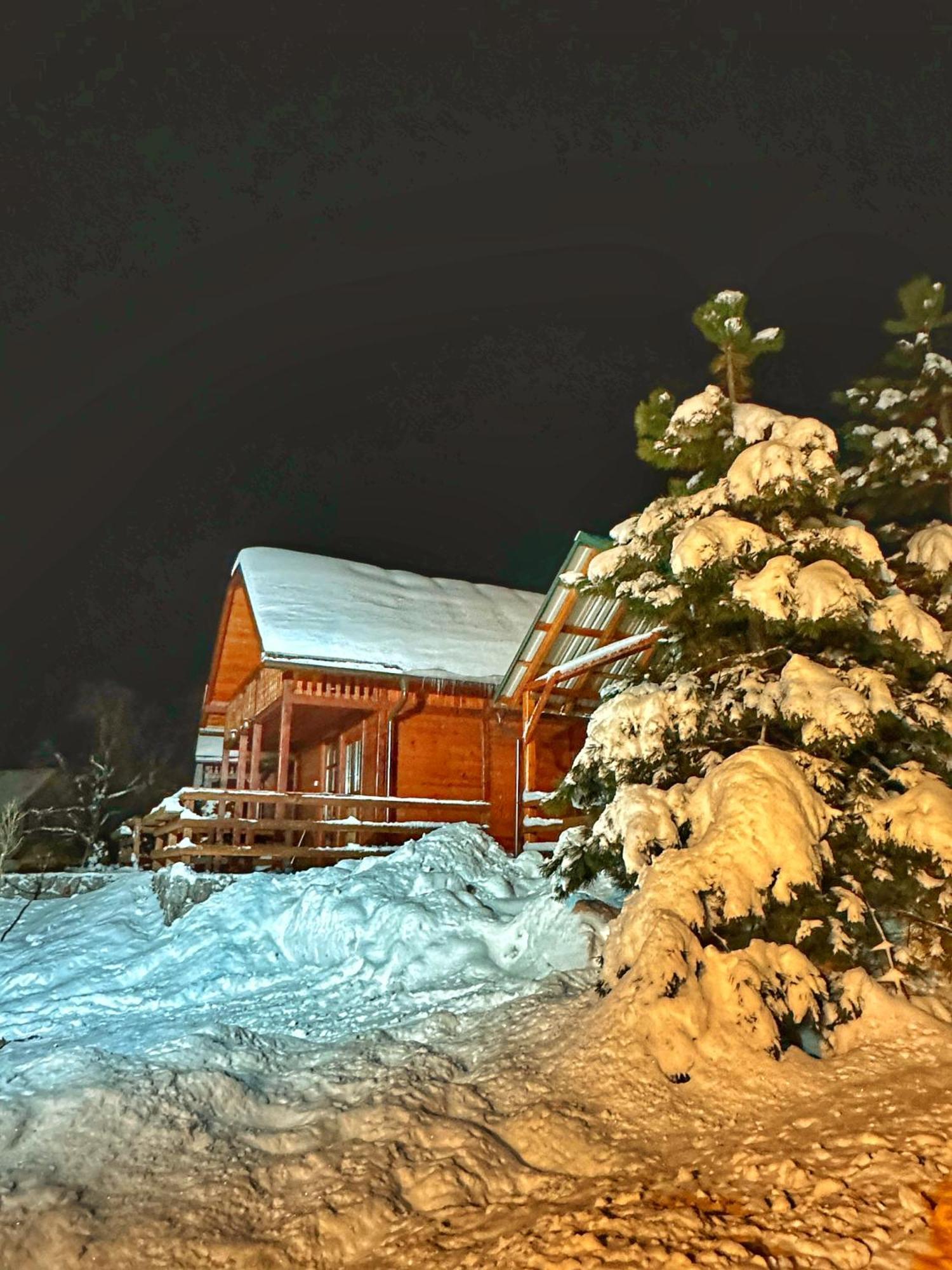 Brvnare Cirkovic Villa Zlatibor Buitenkant foto