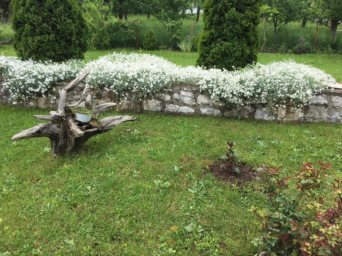 Brvnare Cirkovic Villa Zlatibor Buitenkant foto